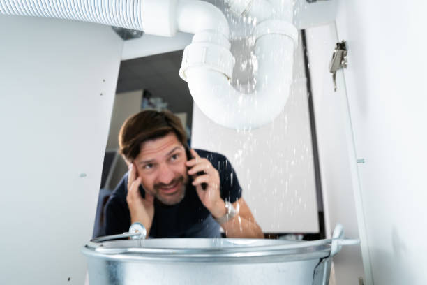 Best Gas Line Repair  in Ripley, TN