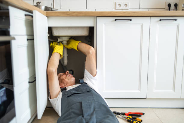 Best Shower Repair Services  in Ripley, TN