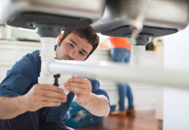 Best Clogged Drain Plumber  in Ripley, TN
