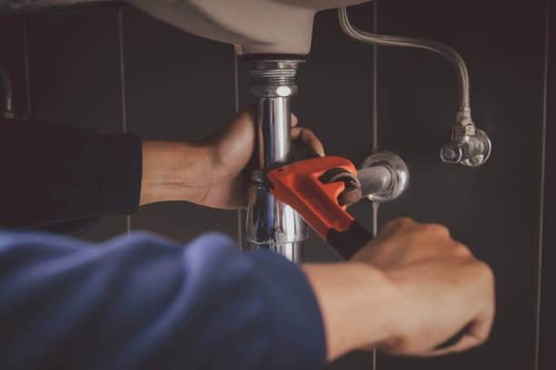 Best Plumbing Inspection Services  in Ripley, TN