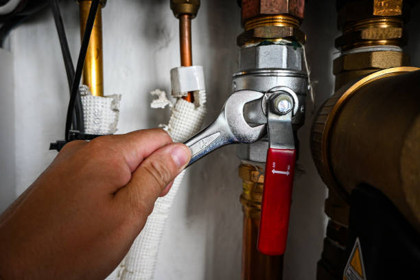 Best Best Plumbers Near Me  in Ripley, TN